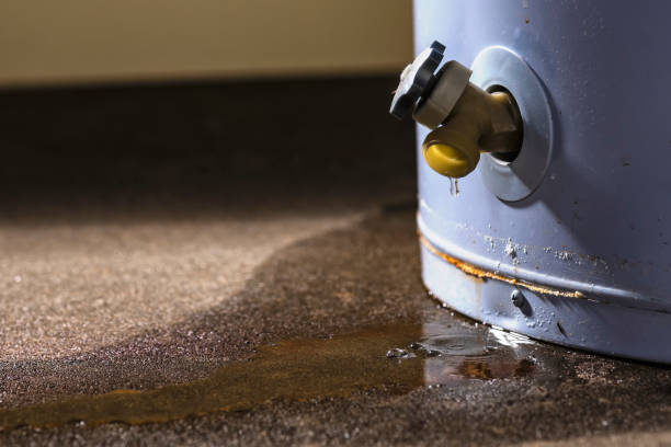 Best Flooded house restoration  in Arthurdale, WV