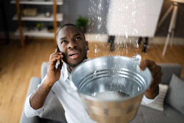 Best Water damage restoration near me  in Arthurdale, WV