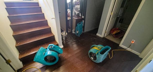 Best Fire Damage Restoration  in Arthurdale, WV