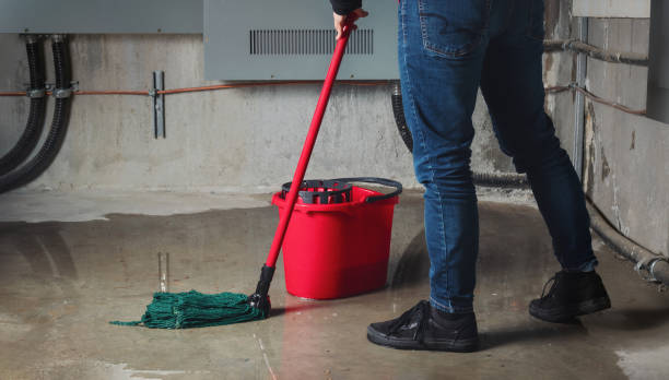 Best Flood restoration services  in Arthurdale, WV