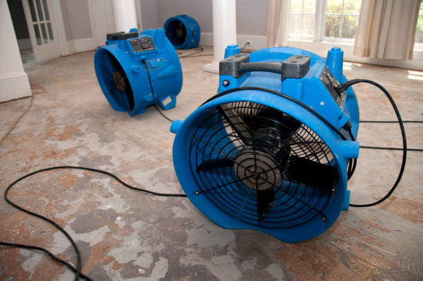 Local water damage restoration in Arthurdale, WV