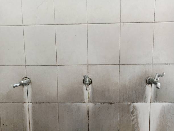 Best Water damage contractors near me  in Arthurdale, WV