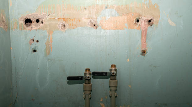 Best Carpet water damage restoration  in Arthurdale, WV